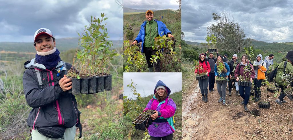 Tounes Clean-Up et Soli & Green ont réussi a planté 9000 arbres à Sejenane