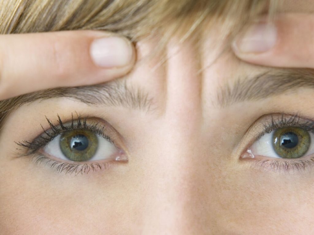 Ride du lion : comment s’en débarrasser ?