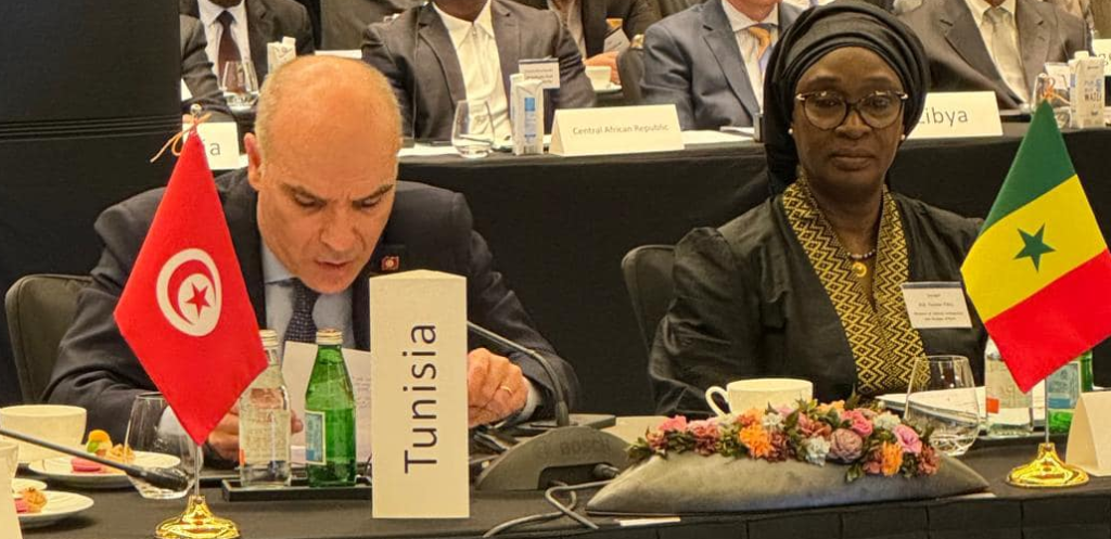 Nabil Ammar participe à la réunion préparatoire du Sommet Corée-Afrique