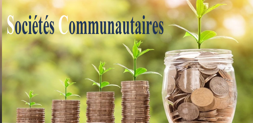 PME et sociétés communautaires à l’épreuve de la relance territoriale : défis et résilience