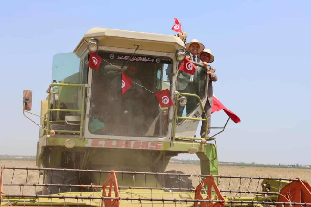 Mahdia : une récolte céréalière modeste mais encadrée de près