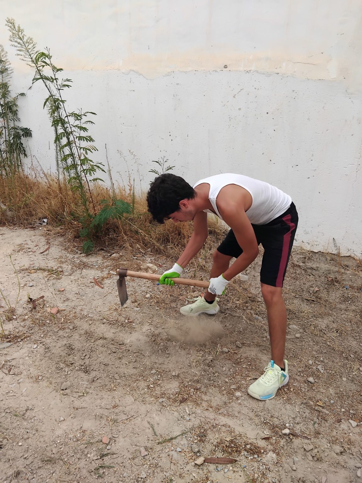 Association d’Education Relative à l’Environnement de Hammamet : un coup de neuf pour mon école