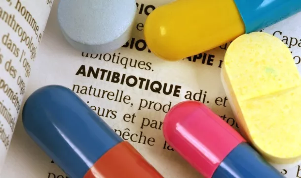 Résistance aux antibiotiques : journée de sensibilisation de l’OMSA à Tunis