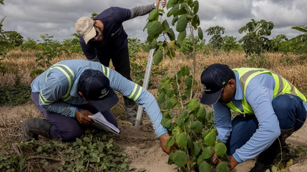 Le ministre de l’Environnement annonce le lancement du projet « Ceinture verte » pour 2026