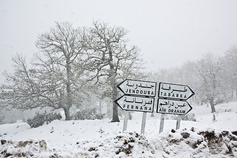 Pluies, neige, grippe et pénurie de gaz : à quoi s’attendre pour cet hiver ?