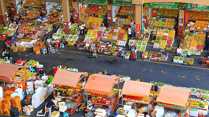 De la Ceinture et la Route à la terre féconde : quand Hainan dialogue avec la Tunisie