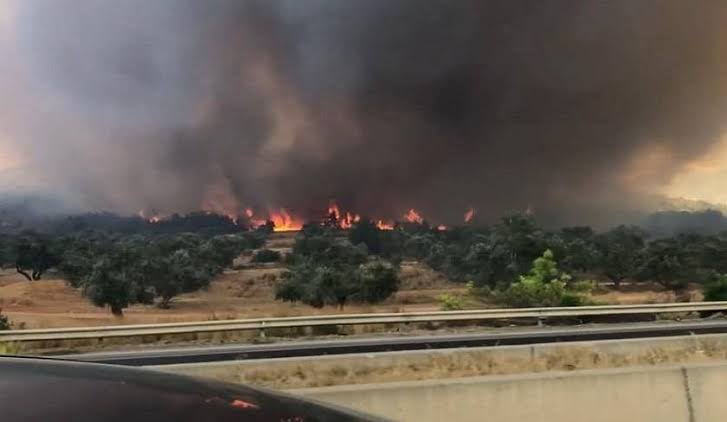 Tunisie Autoroutes met en garde contre les risques d’incendie