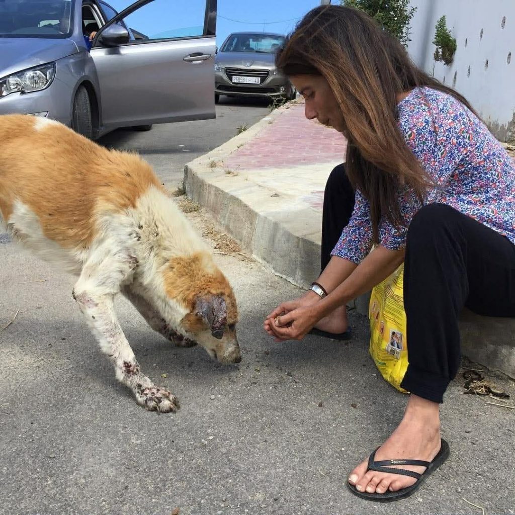 Urgence d’un nouveau cadre juridique pour la maltraitance animale : protéger un être vivant et non un simple bien
