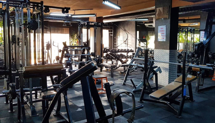 Les salles de sport en plein essor : simple effet de mode ou véritable changement de mode de vie ?