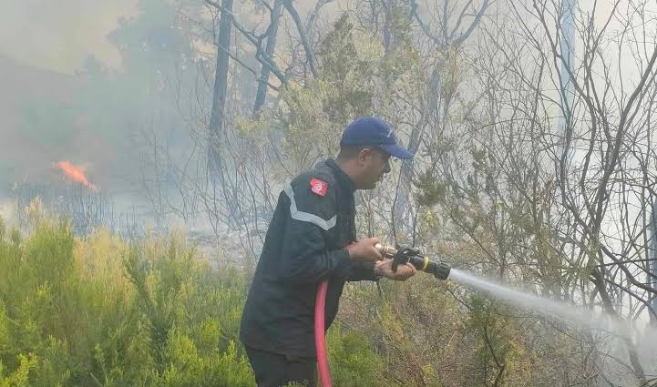 Béja : poursuite des interventions pour maîtriser l’incendie près de Cap Négro