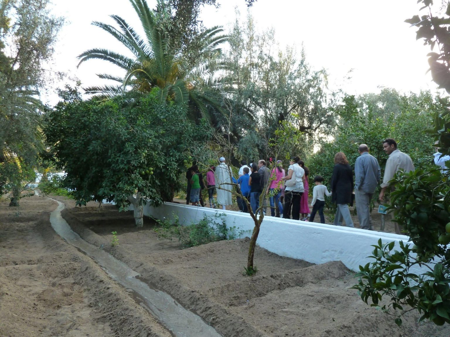 A Hammamet, des bénévoles à pied d’oeuvre pour réhabiliter l’écomusée de l’orangeraie