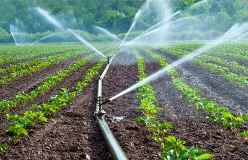 Ressources hydrauliques : l’ARP se penche sur la situation des puits agricoles non autorisés